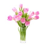 Pink Tulip Bouquet